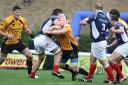 Ouch: Esher's Chris Goodman cops a high one in Saturday's 32-17 defeat at London Scottish
