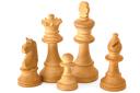 Hunt is on for giant chess teacher