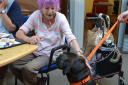 A dog therapy session at the hospice