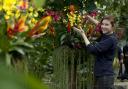 Displays: Anna Bowell showing off the orchids