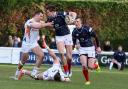 Staying around: London Scottish have extended Jason Harries' contract for another season