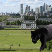 A mock-up of a puma in Greenwich Park