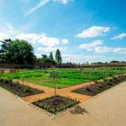 Great gardens: Well worth a look