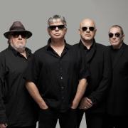 The Stranglers: Leading the summer concert lineup