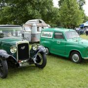 Vintage cars will line up in Bushy Park (Credit: Emma Durnford)