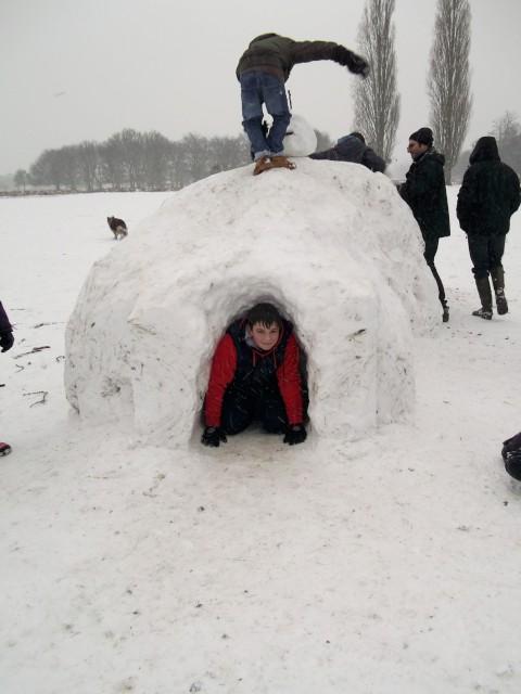 Igloo building in Bushy Park. Submitted by Denise Jenner
