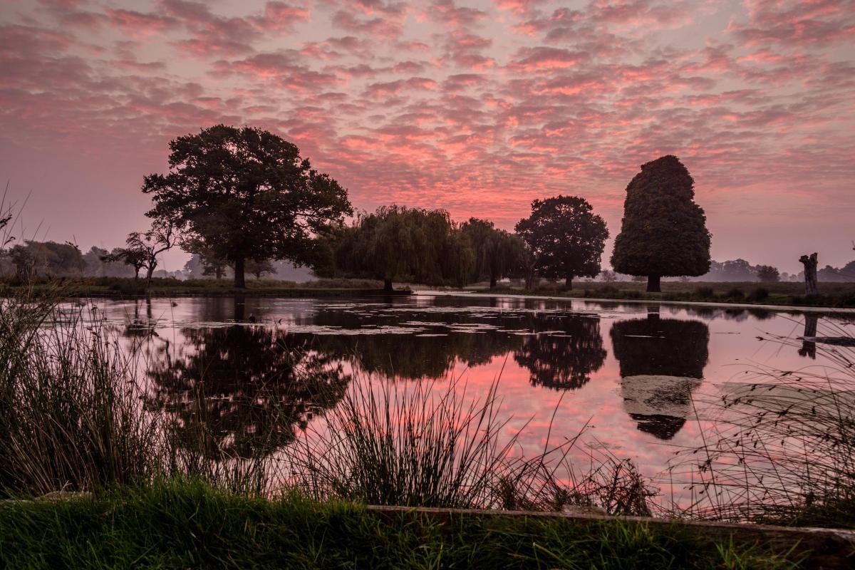Mark Freeman's Sky by Heron Pond before sunrise