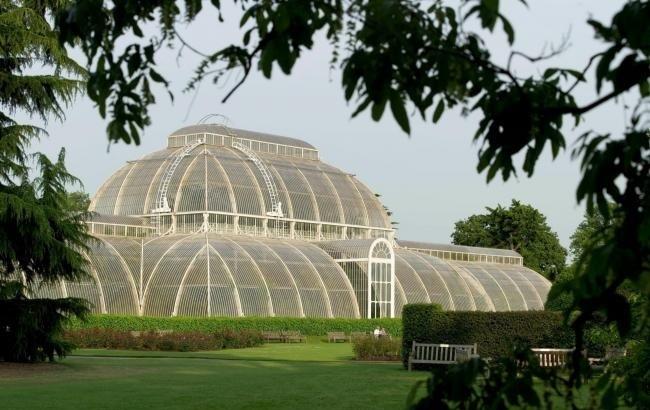 The Last Thing I Ever Thought I Would Do Kew Gardens Director On