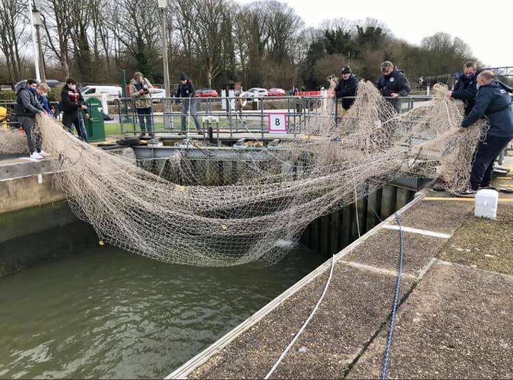 It took a team to rescue the seal (Image: BDMLR and Teddingtown Town) 