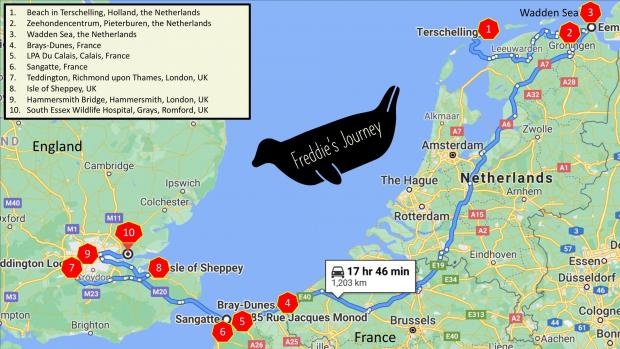 Richmond and Twickenham Times: Map of Freddie's journey from the Netherlands to the UK