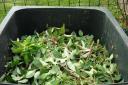 Garden waste collections in Richmond to start again