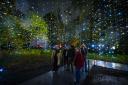 The Starry Night trail at Kew