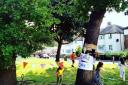 People are desperate to save the 100-year-old oaks in Lewisham