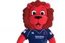 Could you be the new Mac the Lion mascot for London Scottish rugby club?