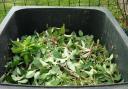 Garden waste collections in Richmond to start again