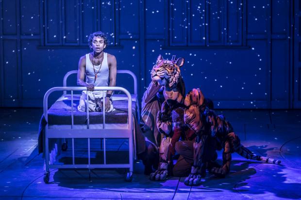 Richmond and Twickenham Times: Life of Pi (Official London Theatre)