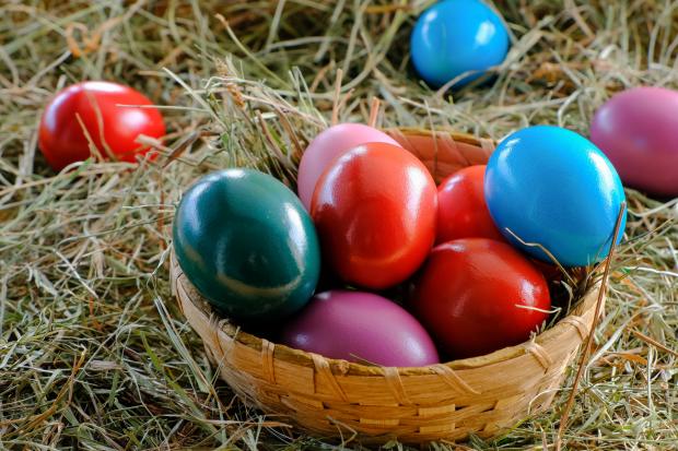 Richmond and Twickenham Times: See the best Easter Egg Hunts in London. (Canva)