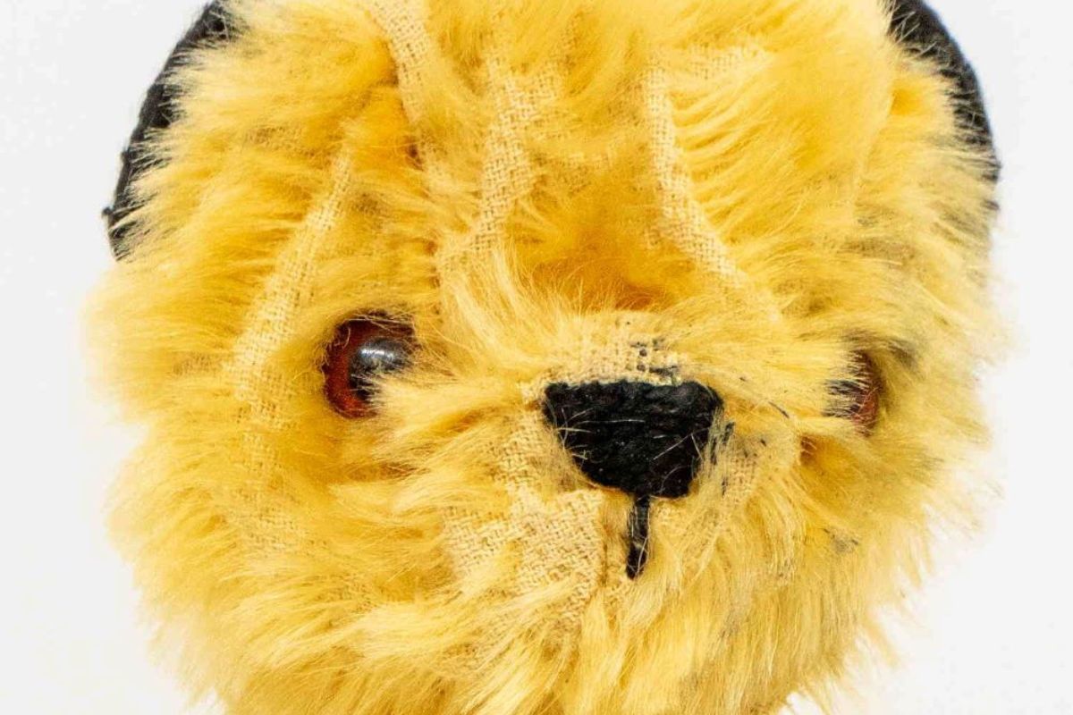 Why Sooty puppet is set to be sold for hundreds at auction | Richmond and Twickenham Times - Vimarsana News