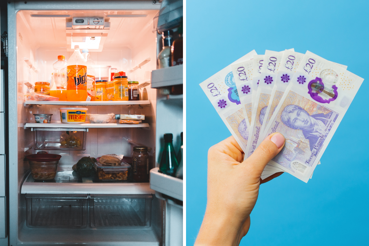 Fridges can add up to £580 to your energy bill - How to save | Richmond and Twickenham Times - Vimarsana News