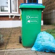 All garden waste collections are cancelled in Richmond borough (Image: Richmond council)