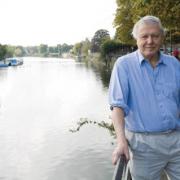 One of a kind: Sir David Attenborough