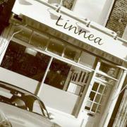 Linnea: A wonderful dining experience