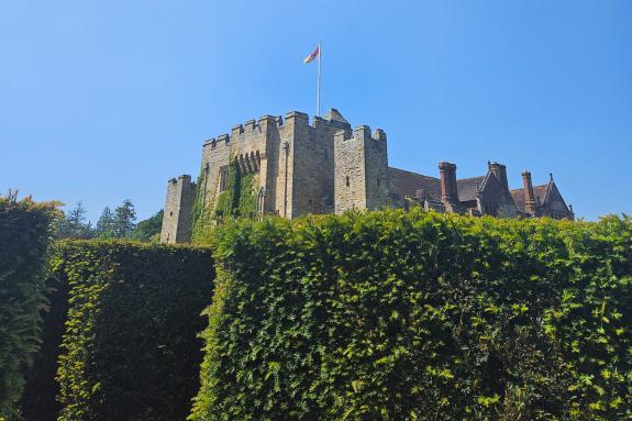 Richmond and Twickenham Times: See if you can find your way out of the maze. Richmond and Twickenham Times: See if you can find your way out of the maze.