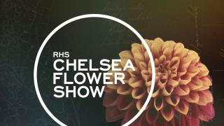 Find out how you can watch the RHS Chelsea Flower Show on the BBC.