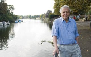 One of a kind: Sir David Attenborough