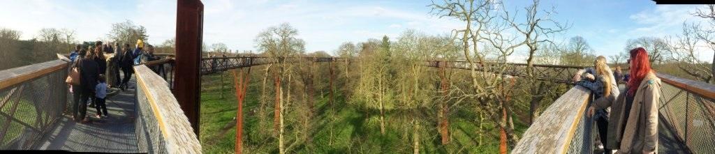 The view from the tree-top walkway in Kew Gardens by Richard Harris