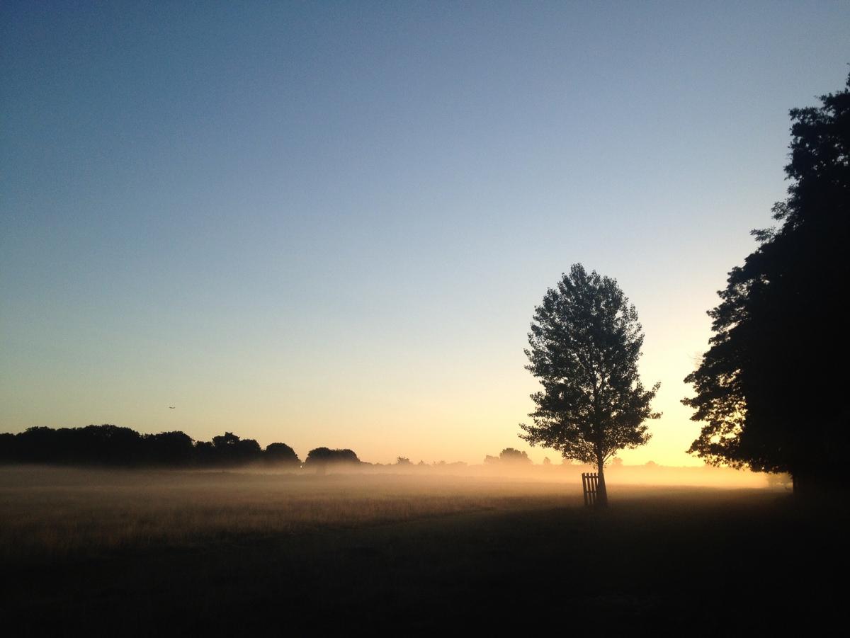 This misty sunrise was taken while Chris Behn cycled through Bushy Park